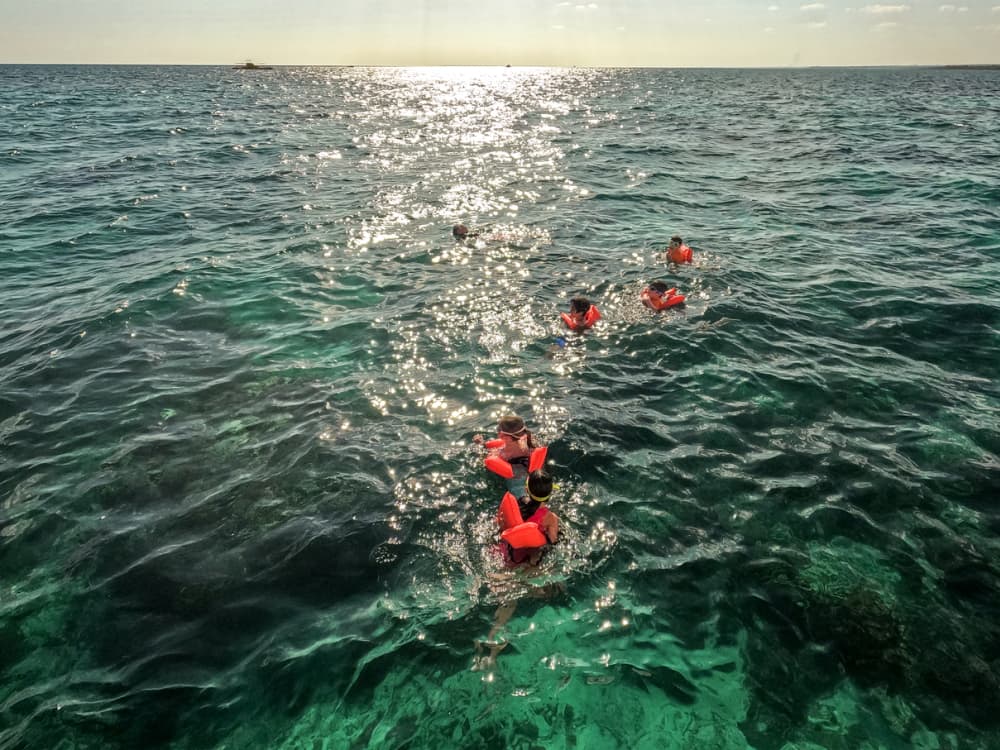 Bavaro's Full Day Odyssey: Explore, Learn & Relax on the Caribbean Sea