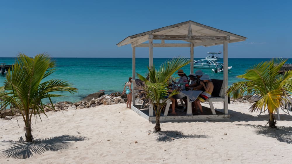 Bavaro's Full Day Odyssey: Explore, Learn & Relax on the Caribbean Sea