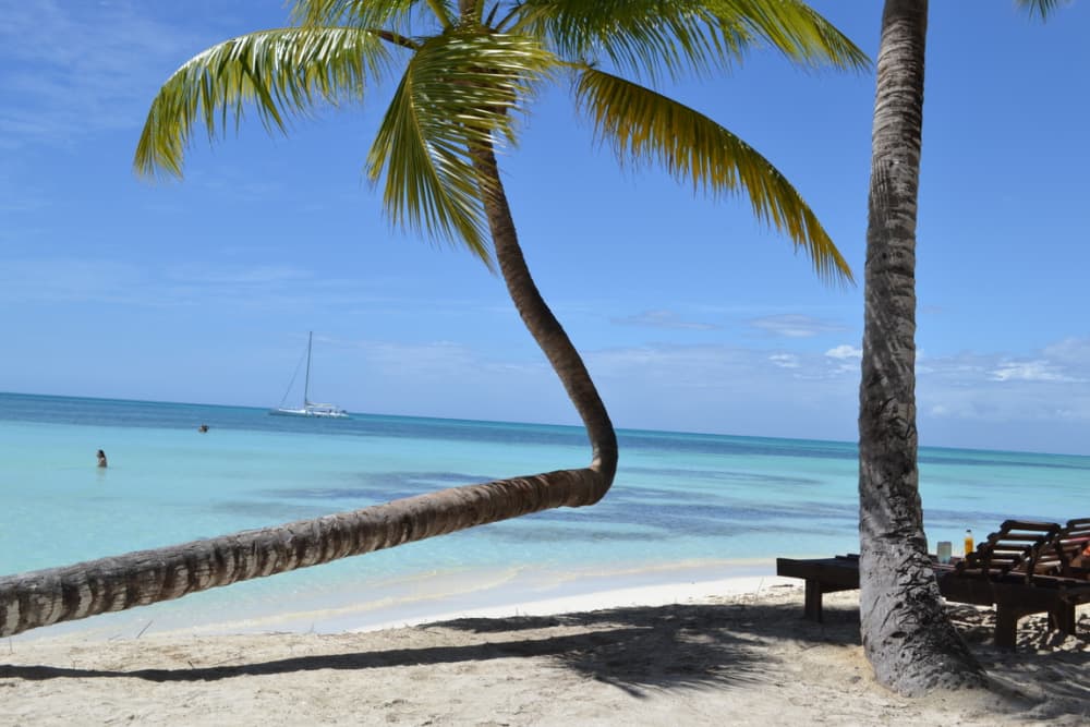 Bavaro's Full Day Odyssey: Explore, Learn & Relax on the Caribbean Sea