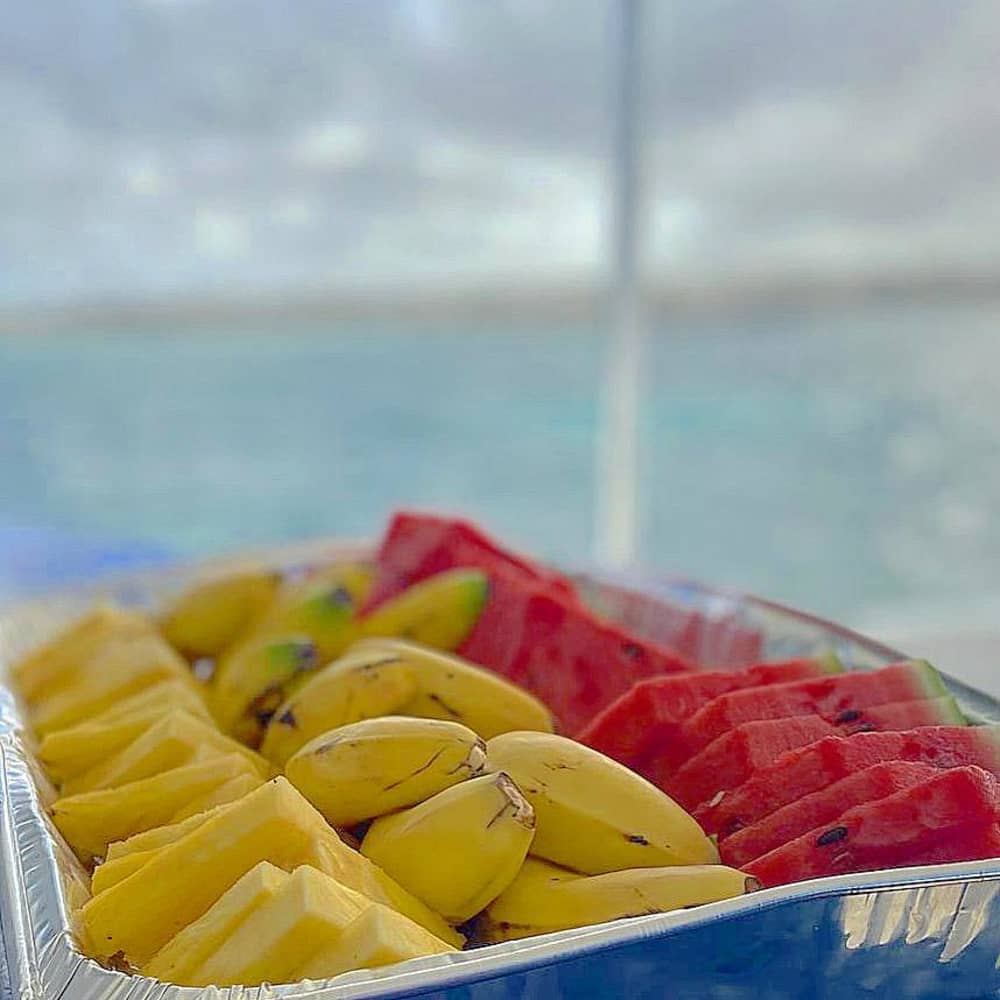 Bavaro's Full Day Odyssey: Explore, Learn & Relax on the Caribbean Sea