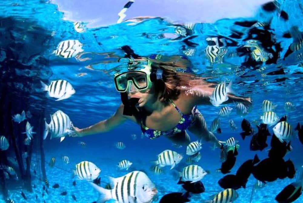 Punta Cana Grand Indulgence: 6-Hour VIP Marine Expedition with Private Chef