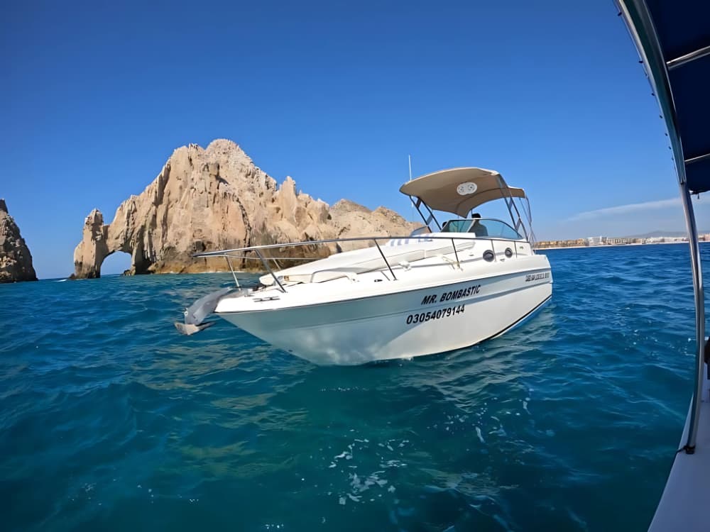 Serene Seas: Prywatny 2-godzinny czarter Cabo