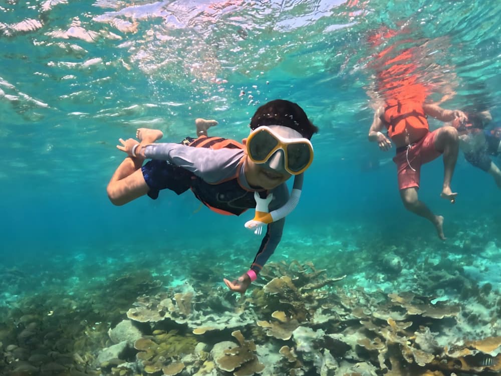 Tropical Immersion: 6-Hour Ocean Fun with Snorkeling, Feast & Music