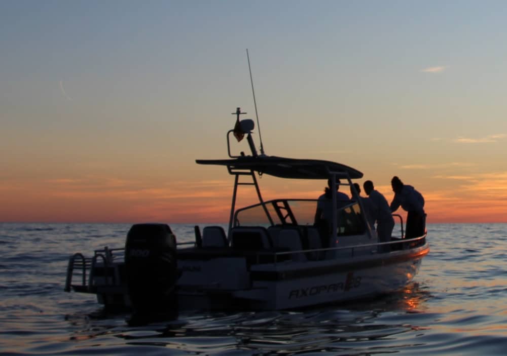 Båttur i Mallorcas vikar · 4 timmar all inclusive | Axopar 28 med skeppare, mat, dryck, paddelsurfing och snorkling