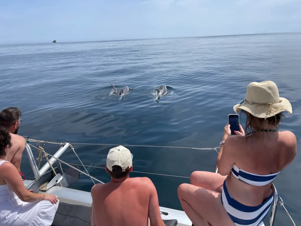 4ωρη εμπειρία με καταμαράν