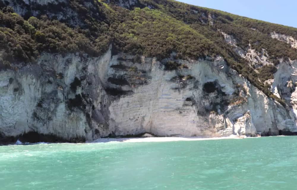 Boat Tour to the Trave of Ancona