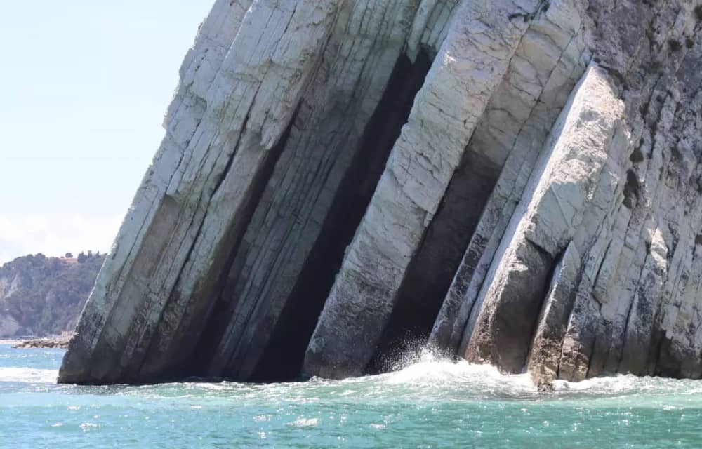 Boat Tour to the Trave of Ancona