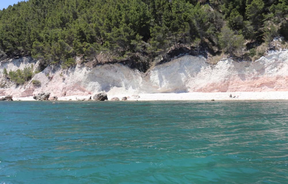Boat Tour to the Trave of Ancona