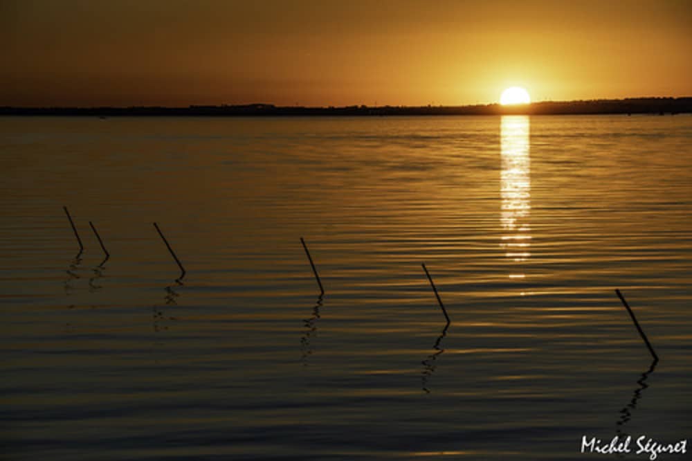 Sonnenuntergang & Verkostung – 2 Stunden Magie auf der Thau-Lagune