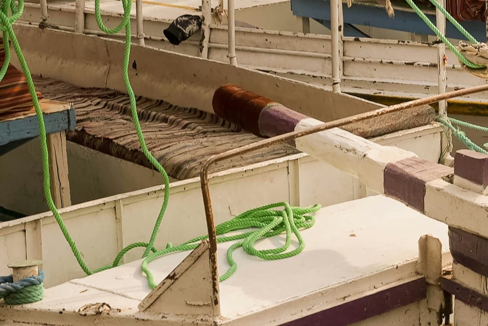 Risvegliare il Nilo: una tranquilla crociera all'alba