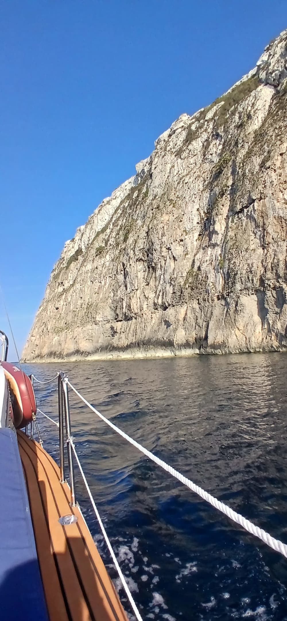 Esplora Espalmador, Saona e altro ancora: tour di un giorno in catamarano