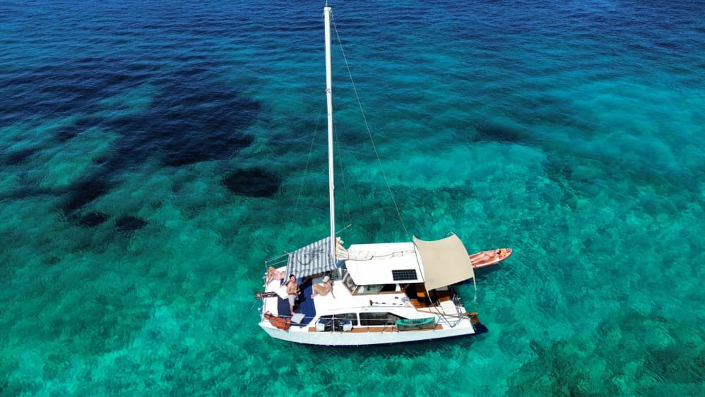 Esplora Espalmador, Saona e altro ancora: tour di un giorno in catamarano
