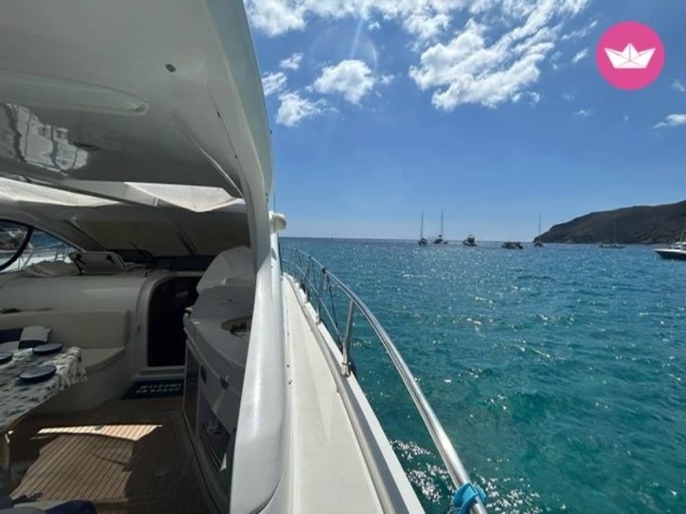 Wonders of the Gulf of Follonica