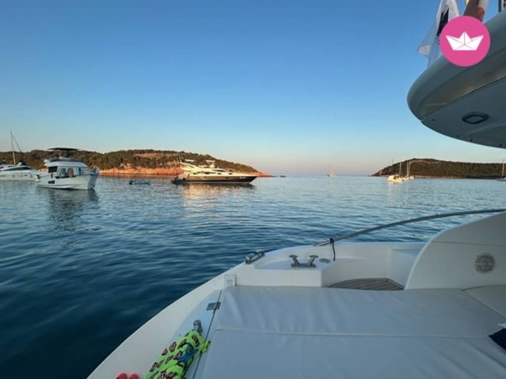 Wonders of the Gulf of Follonica