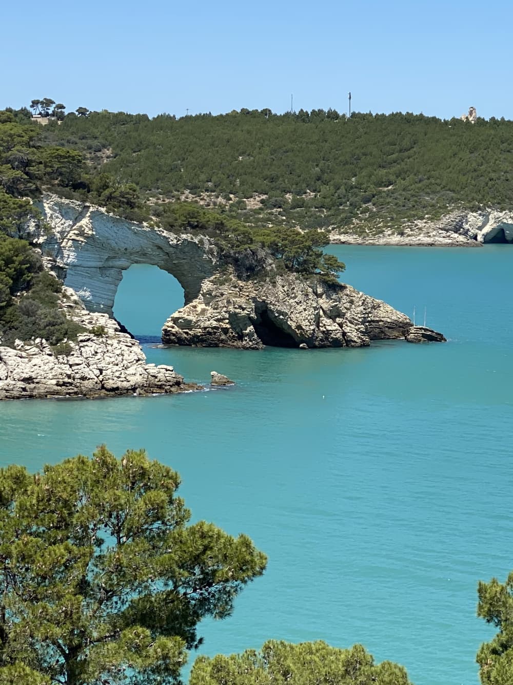 Traditional Boat Experience along the Gargano Coast