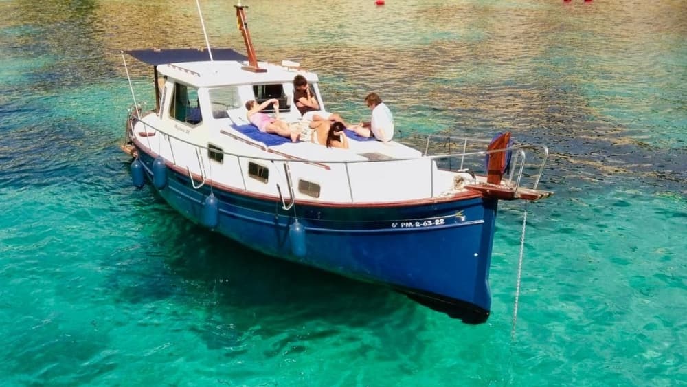 Dagsutflykt: Mallorcas vikar