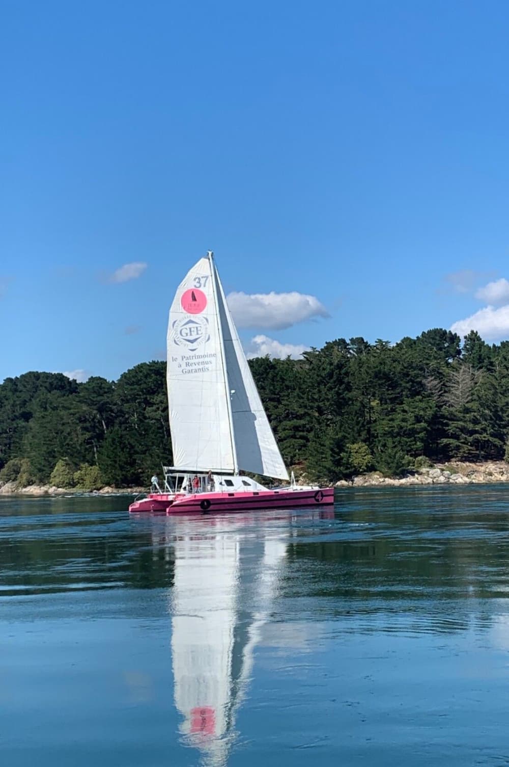 1/2 día: Embárcate y ven a descubrir el Golfo de Morbihan desde dentro