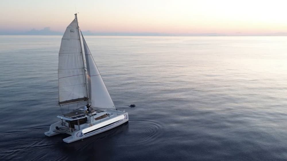 Wind in the Sail: The Archipelago Revealed by Porto Pollo