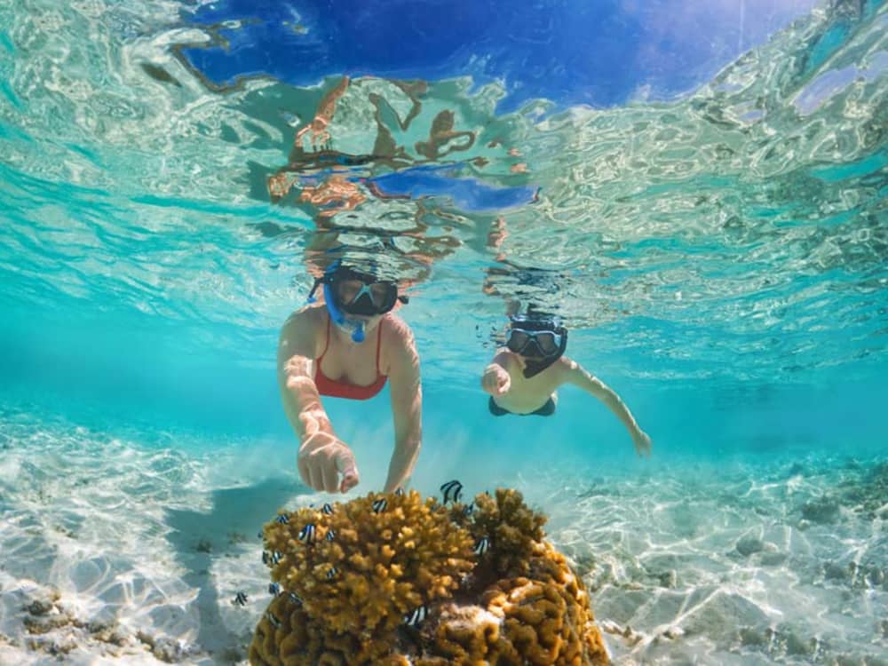 Retraite d'une journée à Formentera à Illetes : visite via Cala Pluma et Espalmador