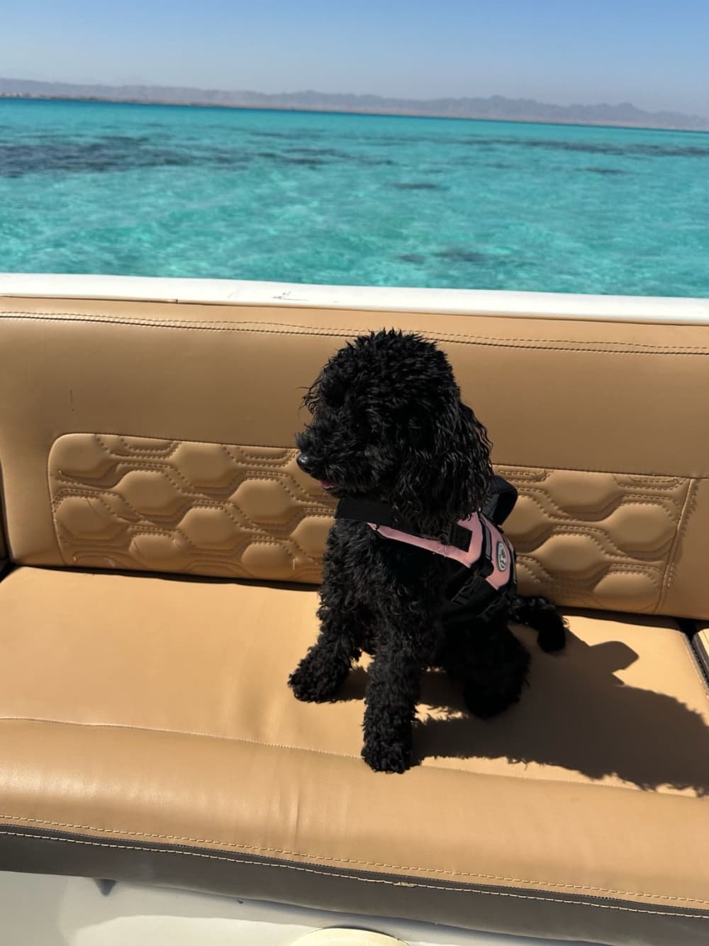 Descubrimiento de arrecifes de coral – El Gouna (8 h)