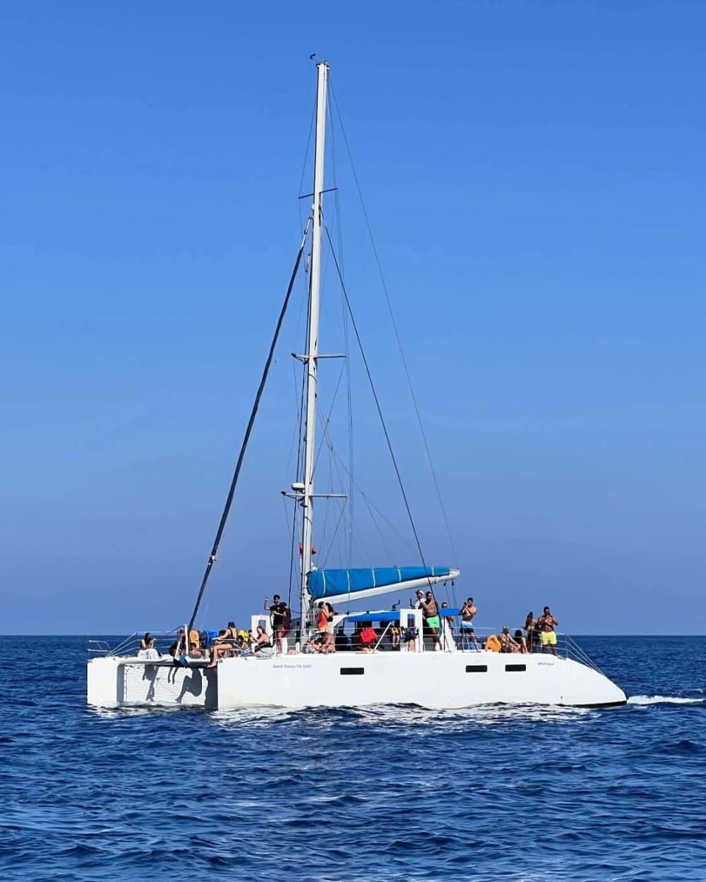 Tour in barca di 3 ore: delfini e nuotata a Djerba