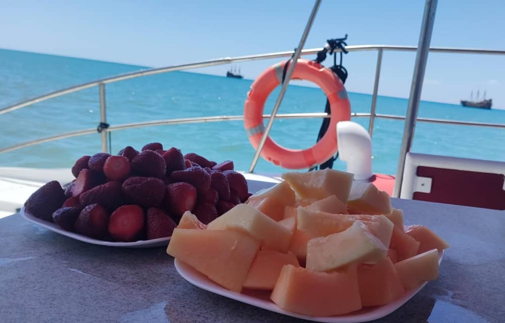 Tour di 2 ore in catamarano nel Mediterraneo con avvistamento dei delfini