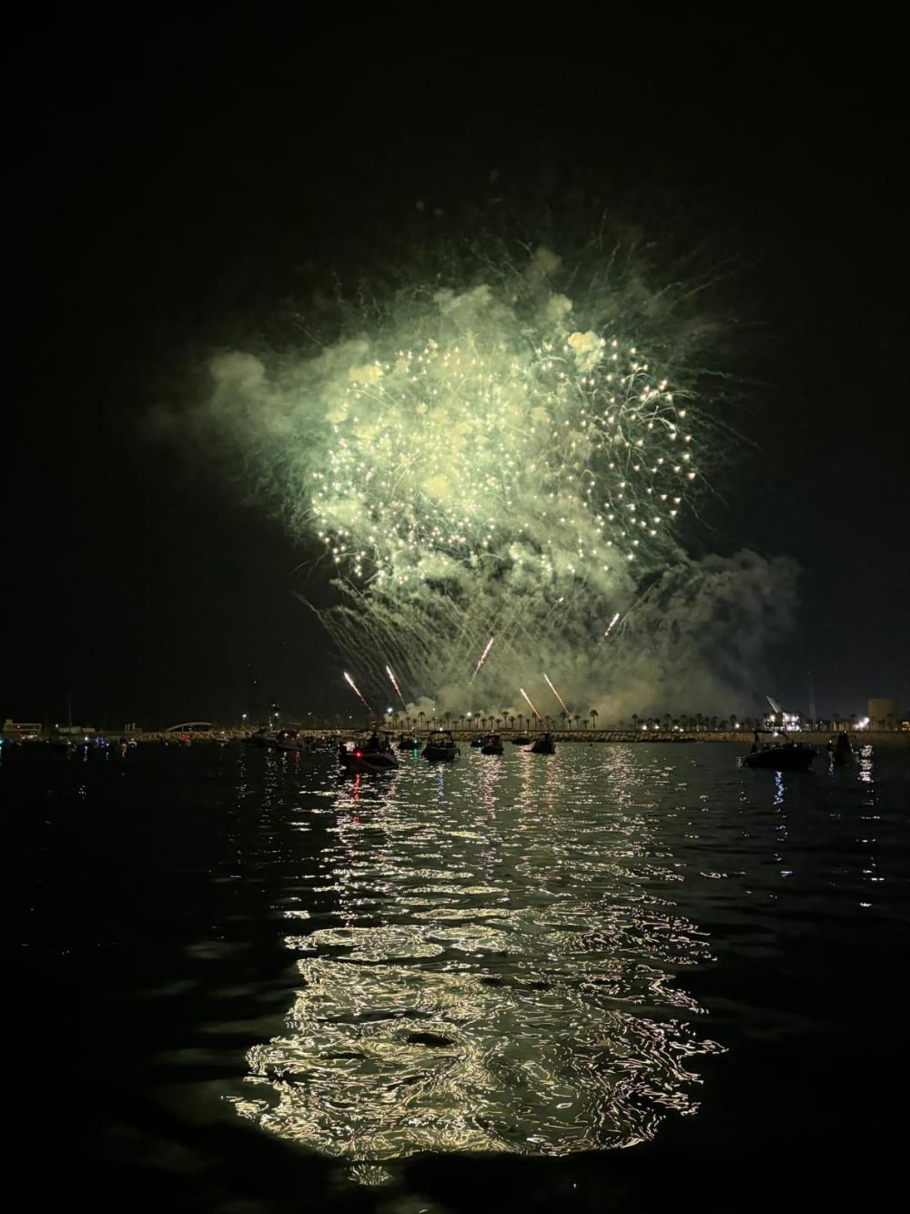 Experiencias Temáticas en la Bahía de Málaga.