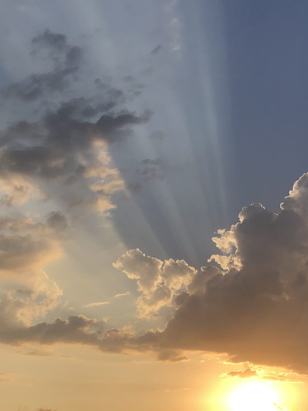 Golden Horizons – Una crociera al tramonto da Malaga