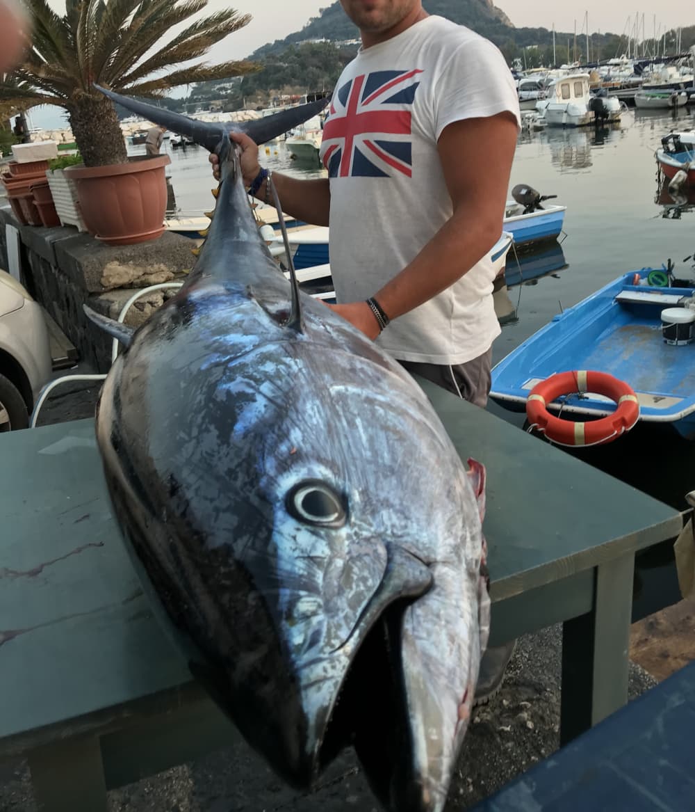 Pesca in mare (Tutte le tecniche)