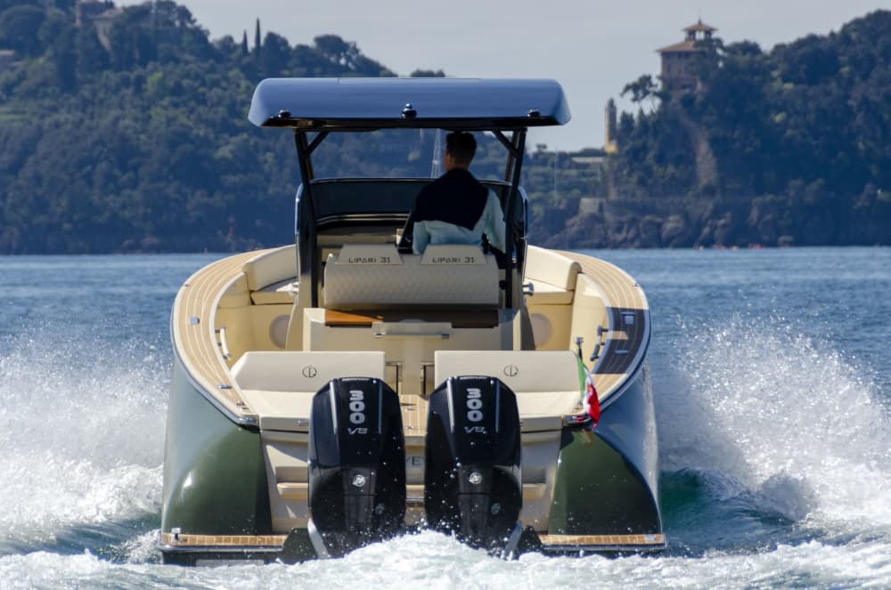 Luxury Half-Day Cruise: Portofino, San Fruttuoso & Punta Chiappa