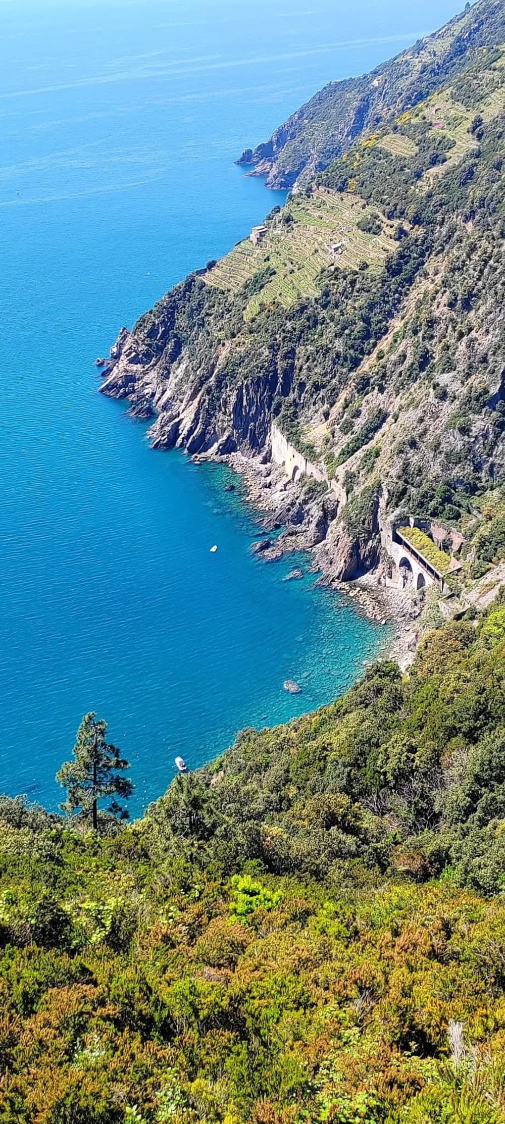 Проведите целый день, катаясь на парусной яхте в Ла Специи.