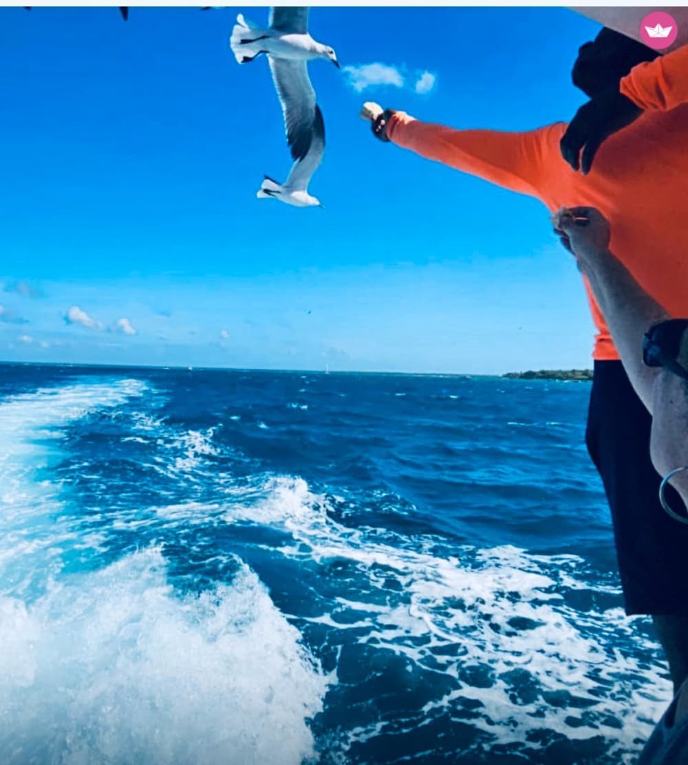 Island Paradise Found: The Bayahibe-Saona Experience That's Got Everyone Obsessed