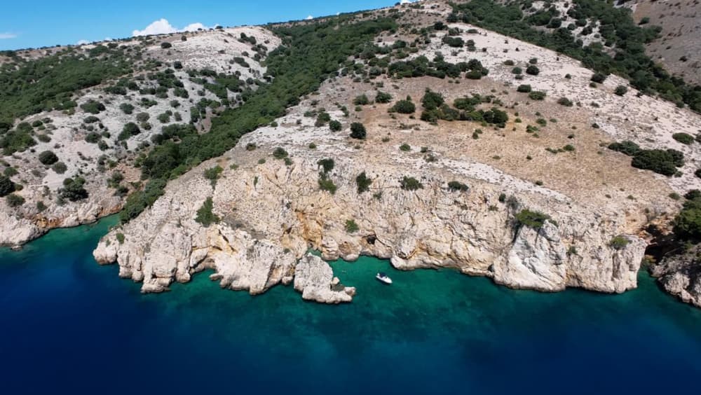 Hidden Beaches & Wildlife: Private Speedboat Adventure from Krk Island