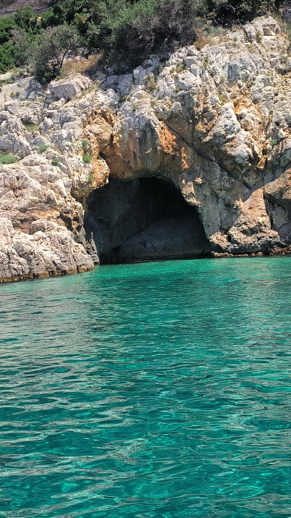 Wild Plavnik: Blue Cave, Wildlife & Snorkeling Adventure Around Krk’s Hidden Gem