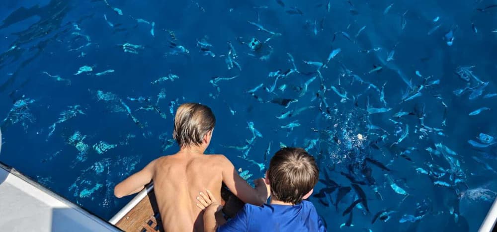 Portovenere en medio día: un crucero con encanto costero