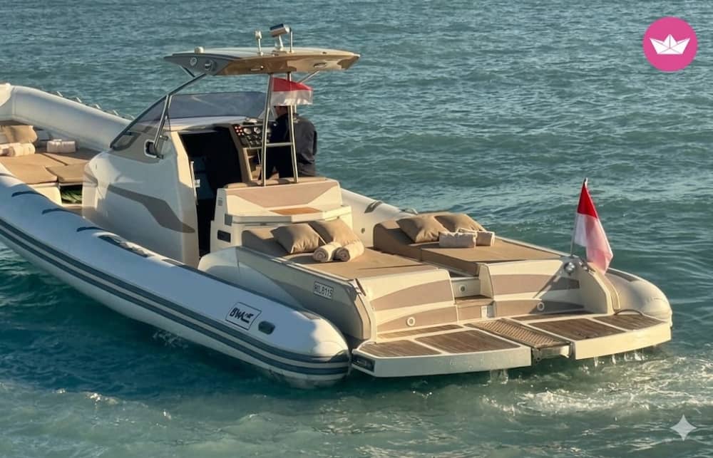 Viaggio di andata e ritorno Cannes – Saint-Tropez in battello