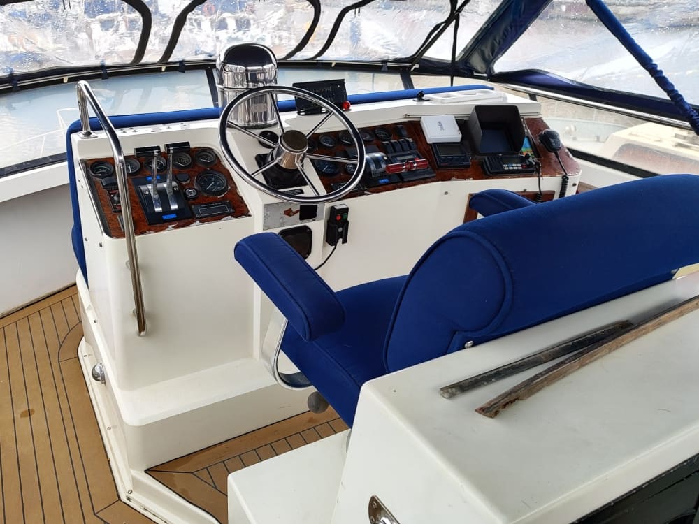 Descubre las costas de Zaandam: una excursión de un día completo a bordo de una lancha motora.