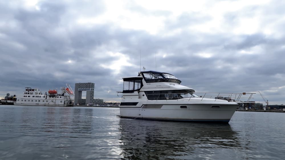 Descubre las costas de Zaandam: una excursión de un día completo a bordo de una lancha motora.