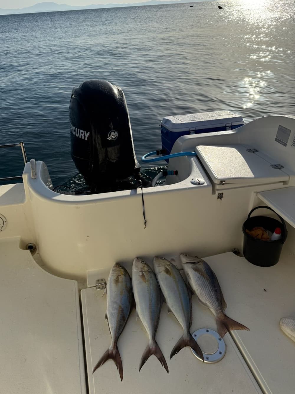 Full Fishing Experience in Sarandë – Jigging & Spinning Combo
