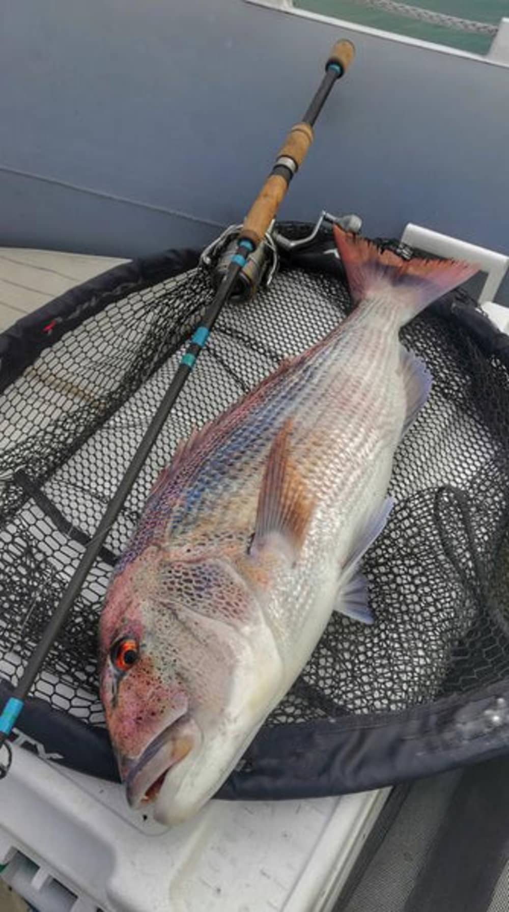 Full Fishing Experience in Sarandë – Jigging & Spinning Combo