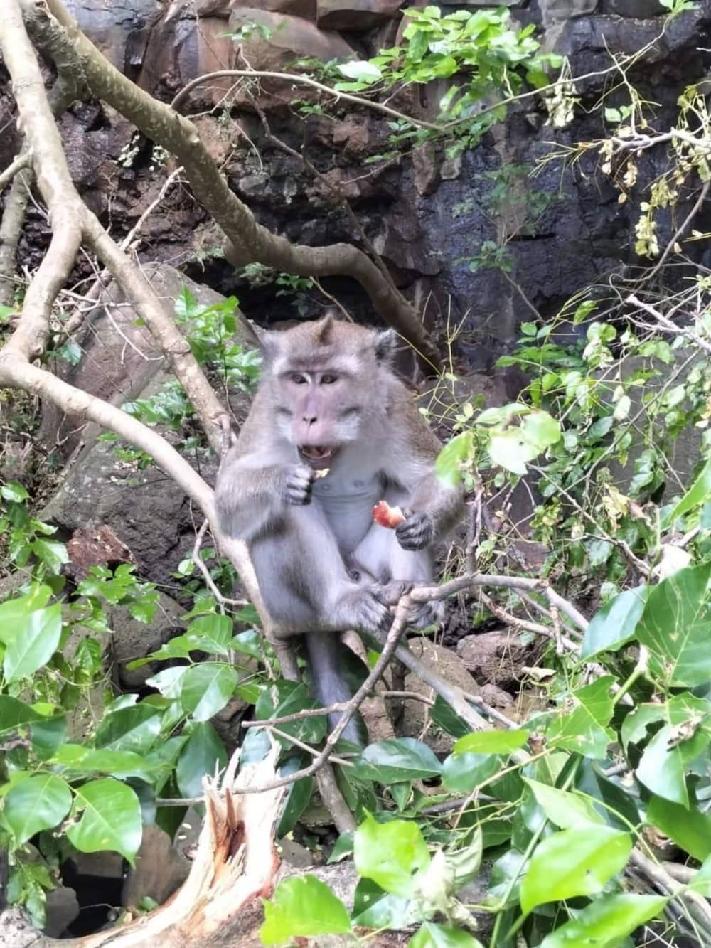 “Treasure Lagoon” – One-day maritime adventure from Pointe Jérôme