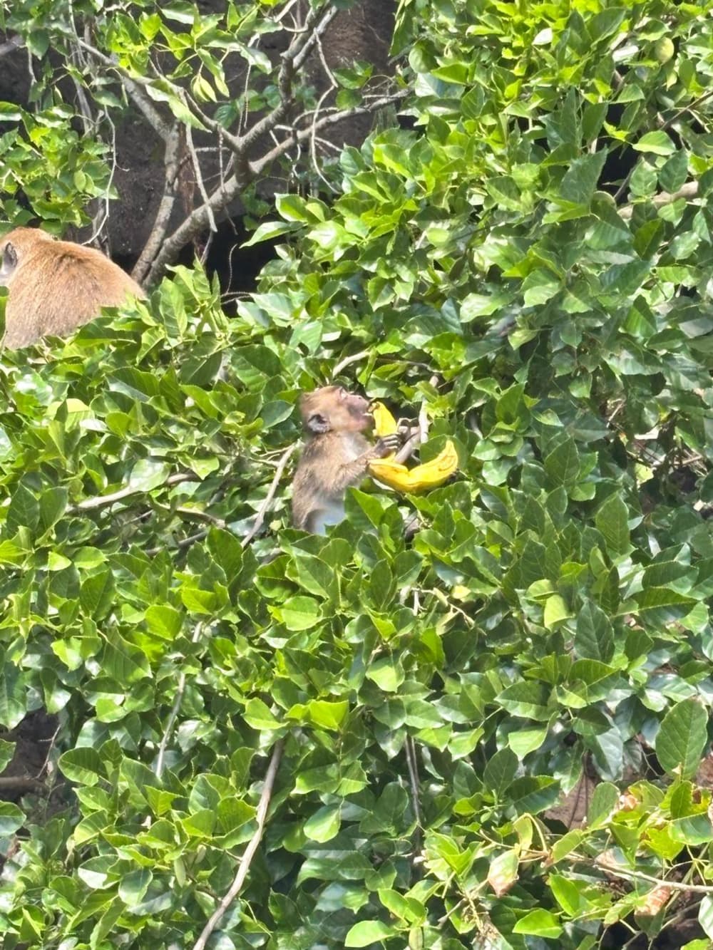 “Treasure Lagoon” – One-day maritime adventure from Pointe Jérôme