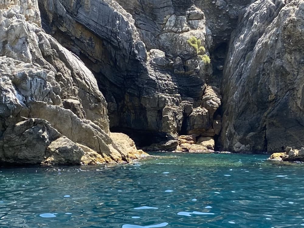 Medio día de maravillas: snorkeling entre Palmaria, Tino y Tinetto