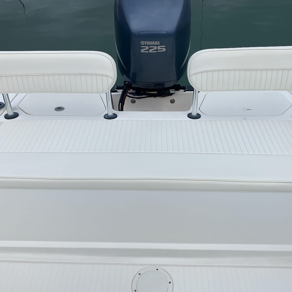 Medio día de maravillas: snorkeling entre Palmaria, Tino y Tinetto