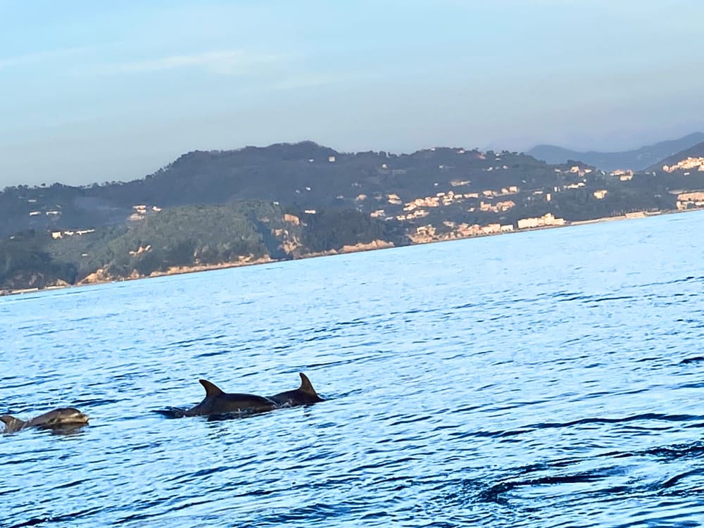 Journée complète dans le Golfe des Poètes : entre îles, mer et villages enchantés