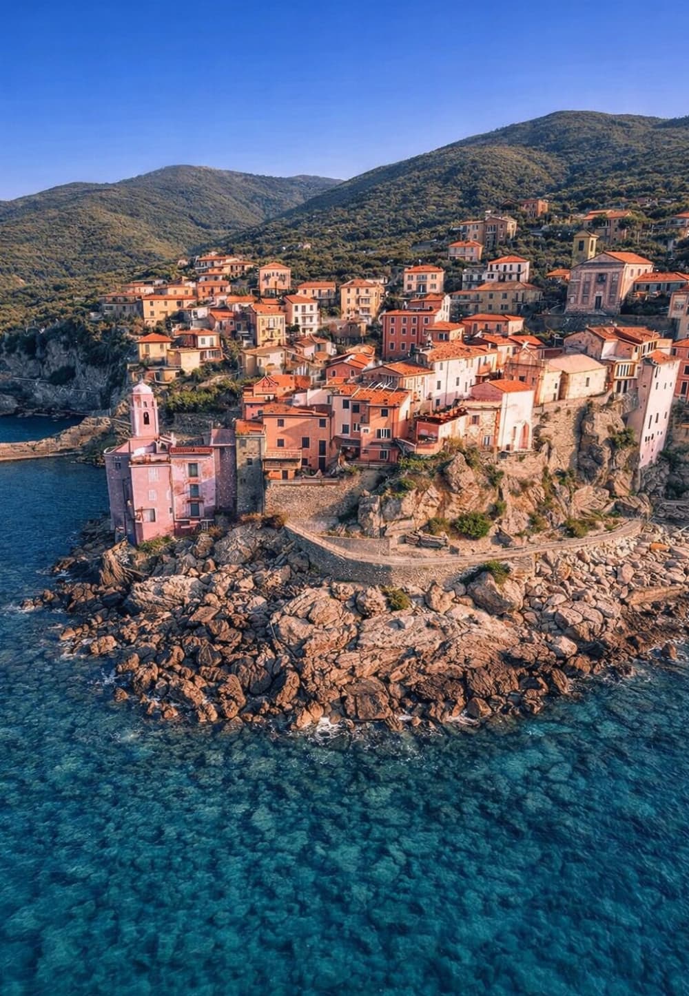 Wild Wonders: Half Day to Punta Corvo