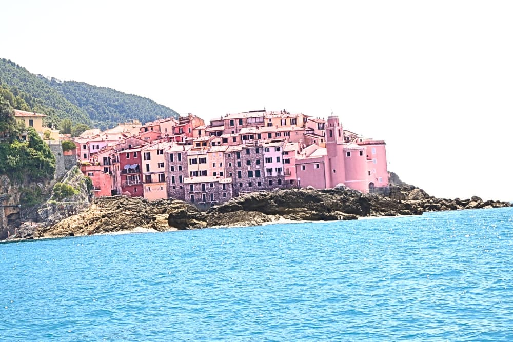 Wild Wonders: Half Day to Punta Corvo