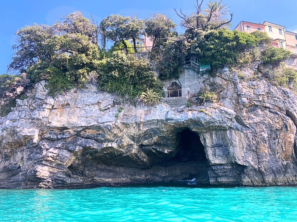 Wild Wonders: Half Day to Punta Corvo