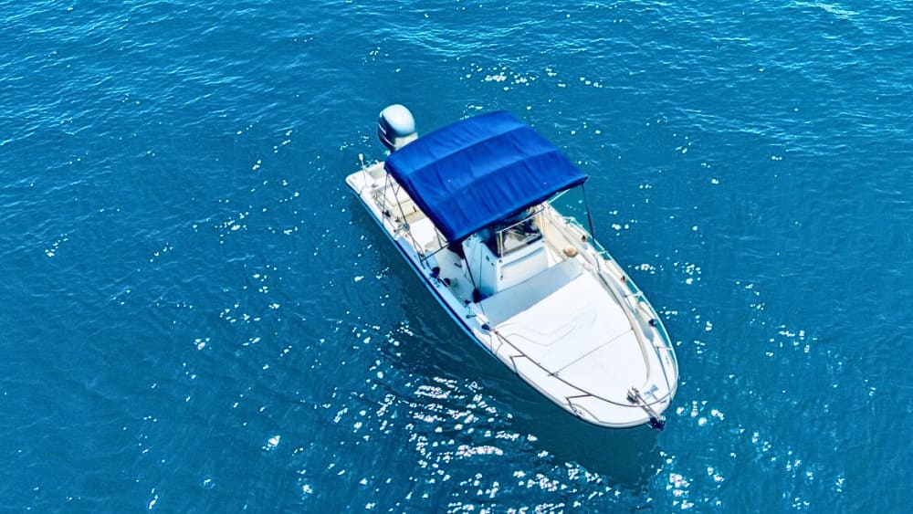 Medio día de maravillas: snorkeling entre Palmaria, Tino y Tinetto