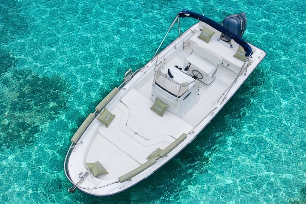 Half Day of Wonder: Snorkeling between Palmaria, Tino and Tinetto FUEL INCLUDED